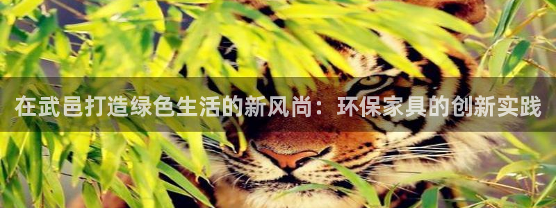 杏耀平台怎样