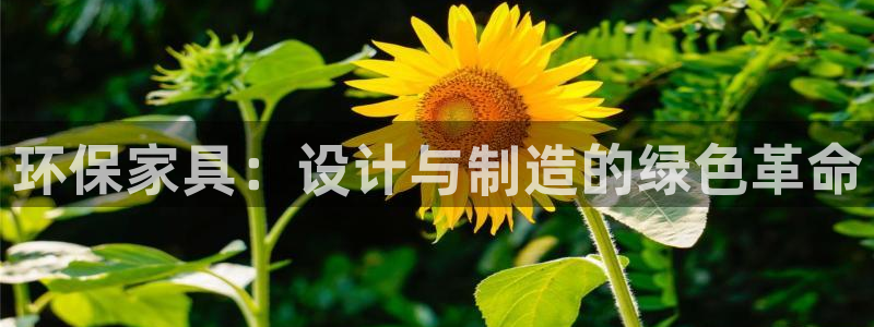 杏耀注册中心