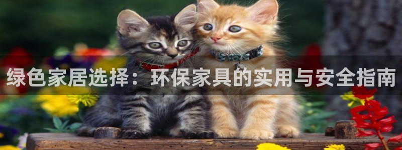 杏耀平台服务中心是干嘛的