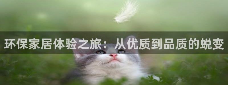 杏耀手机客户端