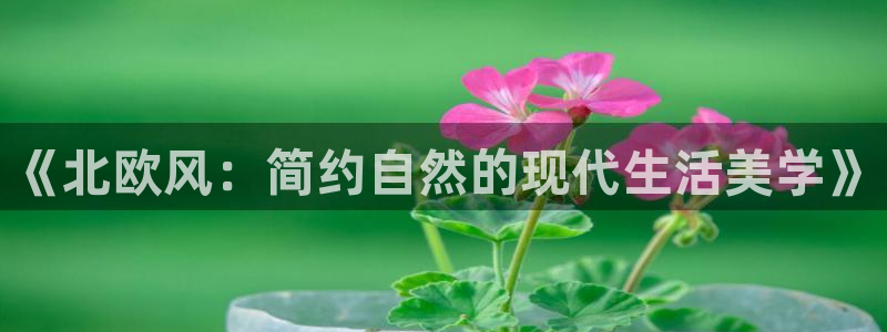 杏耀注册主管