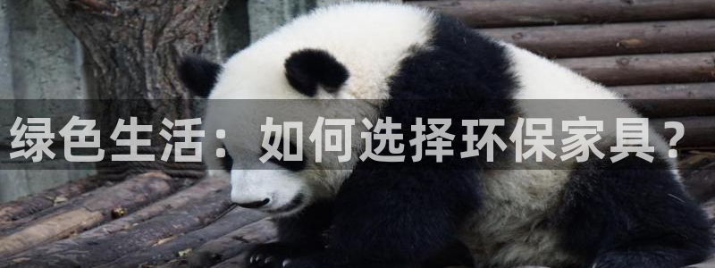 杏耀平台代理怎么赚钱