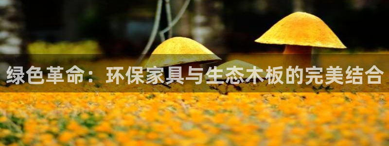 杏耀登录网页